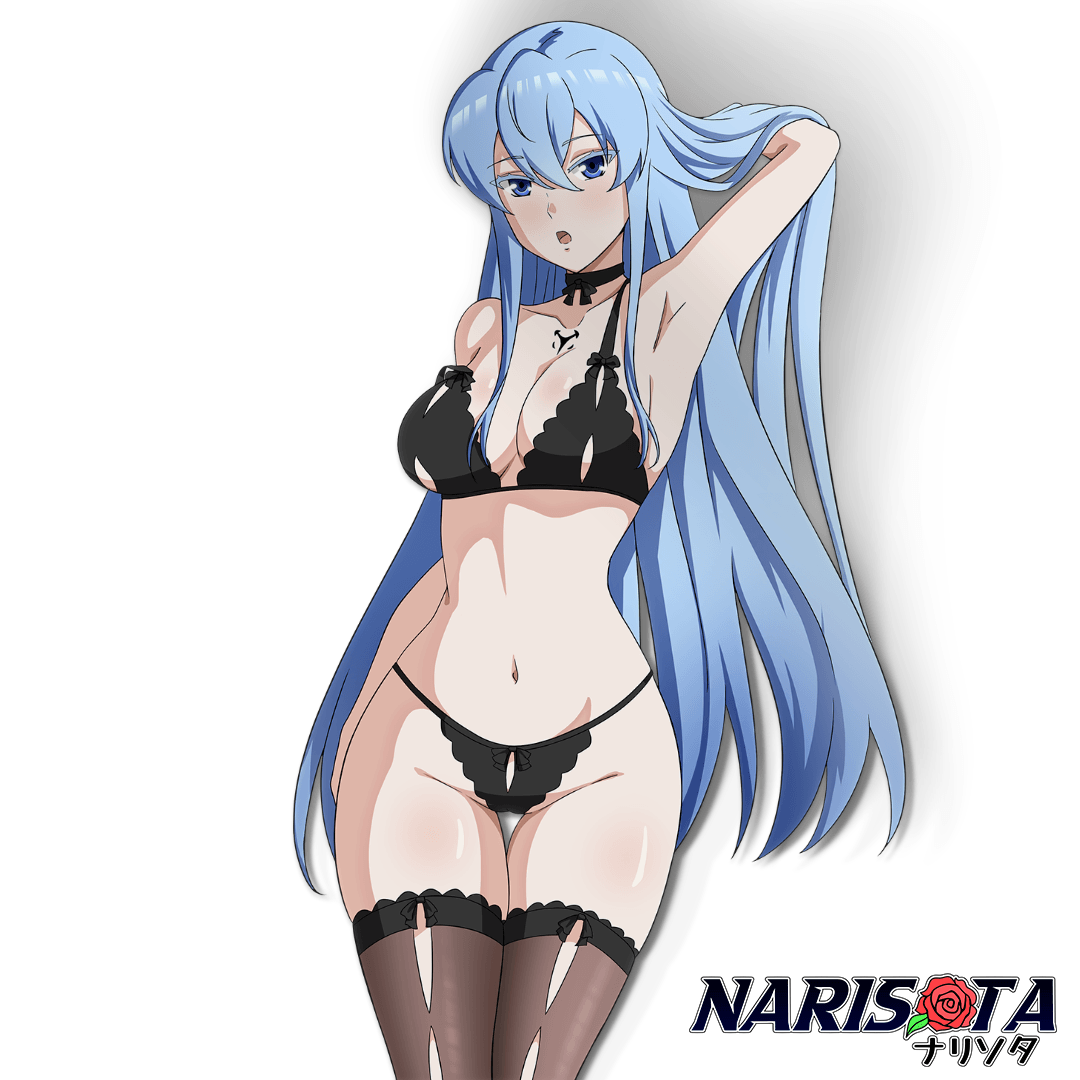 Lingerie Esdeath - Narisota.Co