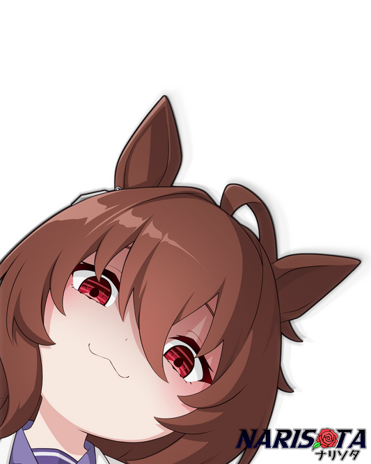 Agnes Corner Peeker